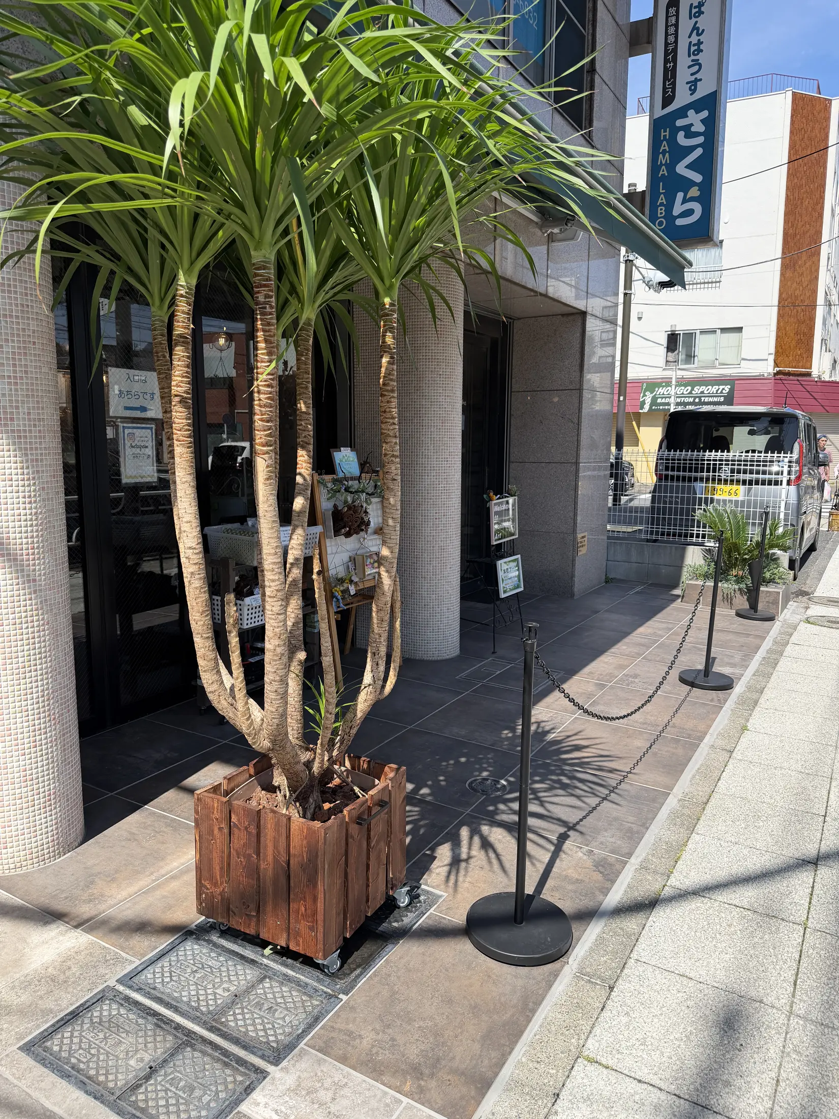 店舗前に置かれた樹木と舗装