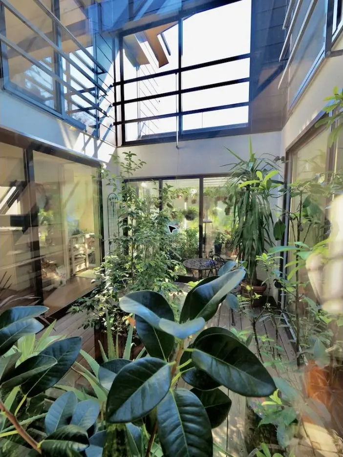 植物に囲まれた中庭