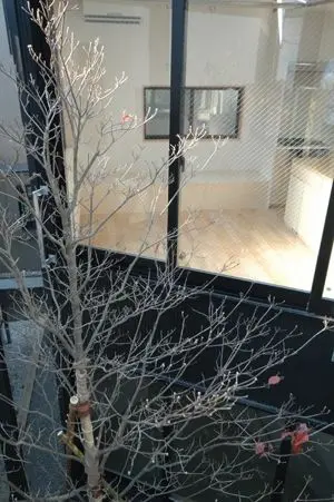 個室からハナミズキを見る