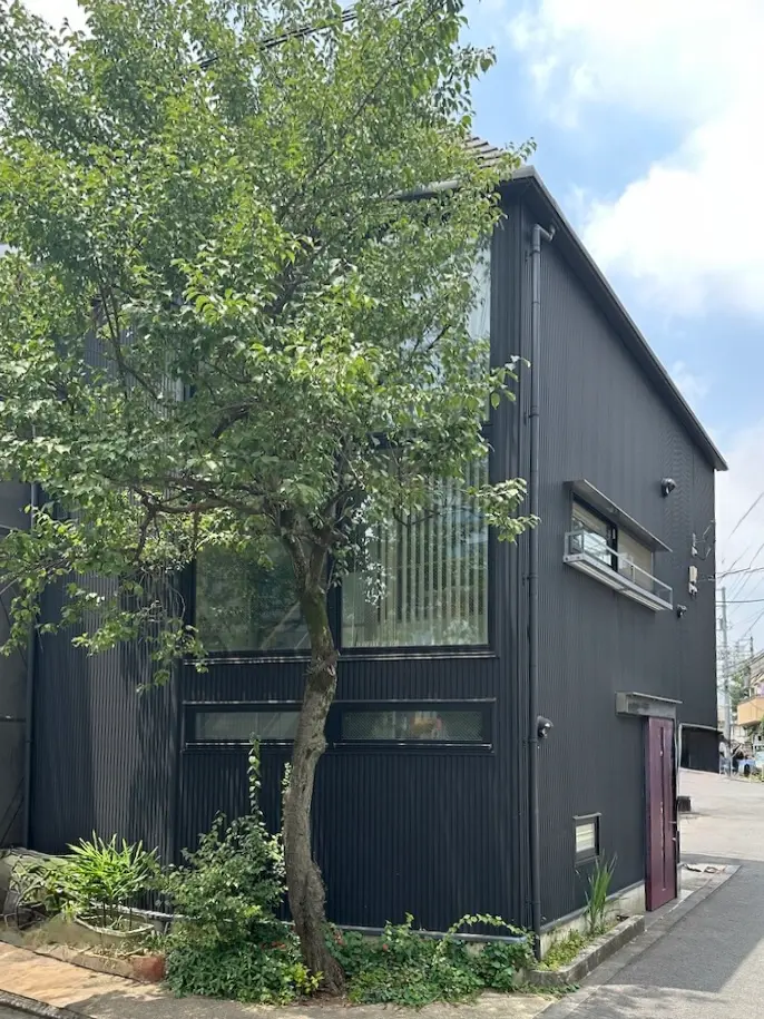 完成から16年後の三軒茶屋の家と梅の木
